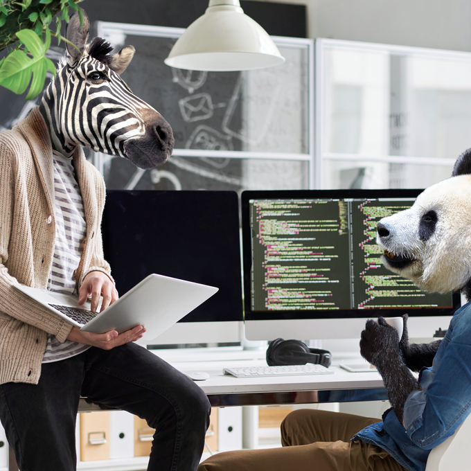 Compétitions CTF : interview de Yoann Moreau cover